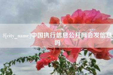赤壁中国执行信息公开网会发信息吗