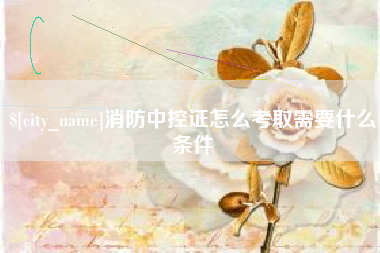 赤壁消防中控证怎么考取需要什么条件