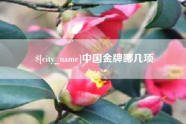 赤壁中国金牌哪几项