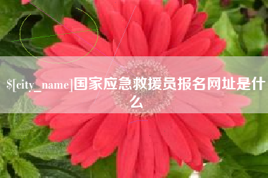 赤壁国家应急救援员报名网址是什么