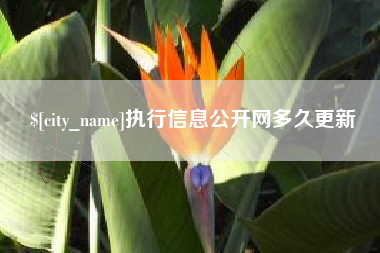 赤壁执行信息公开网多久更新