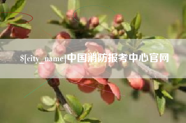 赤壁中国消防报考中心官网