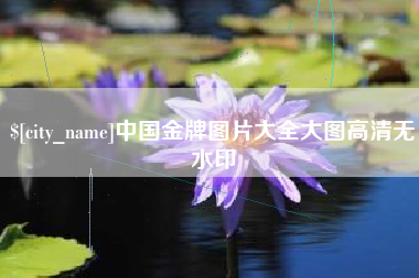 赤壁中国金牌图片大全大图高清无水印