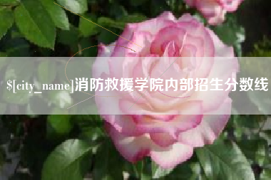 赤壁消防救援学院内部招生分数线