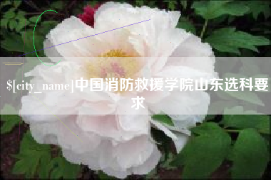 赤壁中国消防救援学院山东选科要求