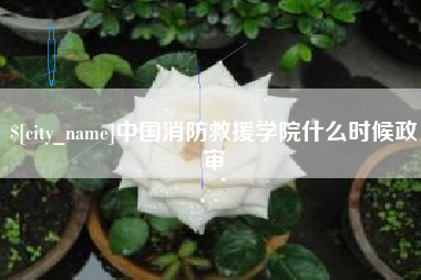 赤壁中国消防救援学院什么时候政审