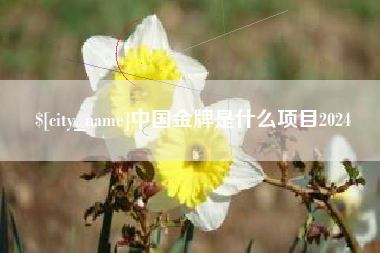 赤壁中国金牌是什么项目2024