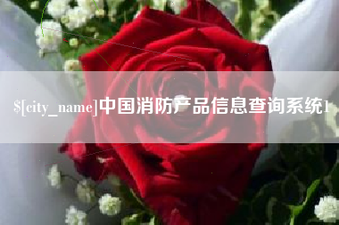 赤壁中国消防产品信息查询系统1