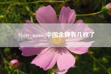 赤壁中国金牌有几枚了
