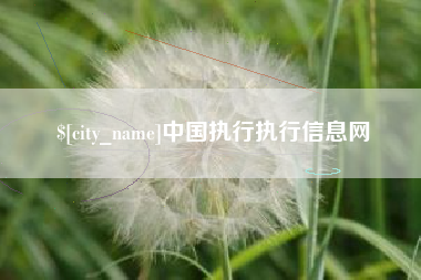 赤壁中国执行执行信息网