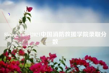 赤壁2021中国消防救援学院录取分数