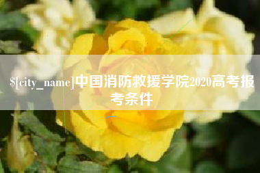 赤壁中国消防救援学院2020高考报考条件