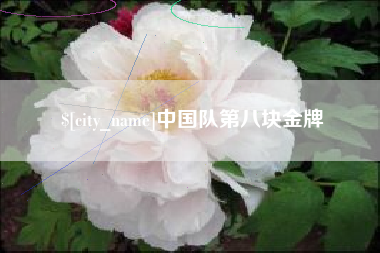 赤壁中国队第八块金牌
