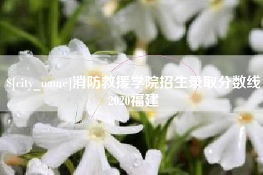 赤壁消防救援学院招生录取分数线2020福建