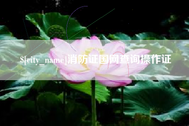 赤壁消防证国网查询操作证