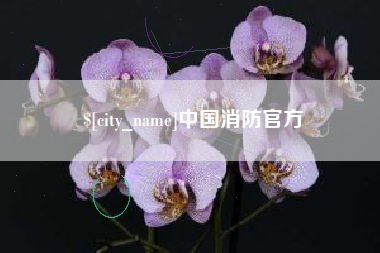 赤壁中国消防官方
