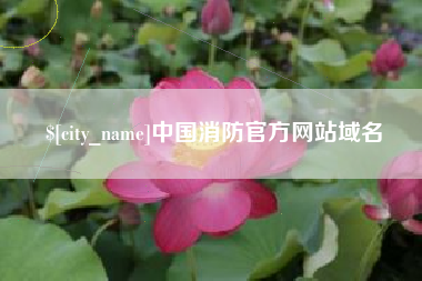 赤壁中国消防官方网站域名