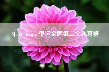 赤壁奥运金牌第二个九宫格