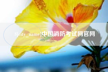 赤壁中国消防考试网官网