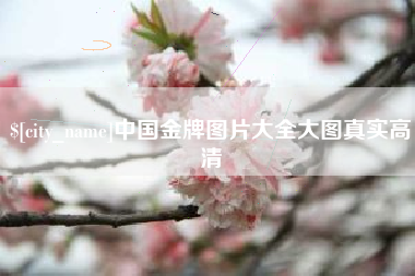 赤壁中国金牌图片大全大图真实高清