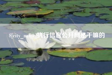 赤壁执行信息公开网是干嘛的