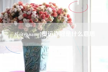 赤壁奥运连冠是什么意思
