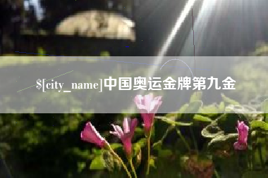 赤壁中国奥运金牌第九金
