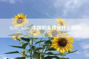 赤壁中国的金牌是什么样的
