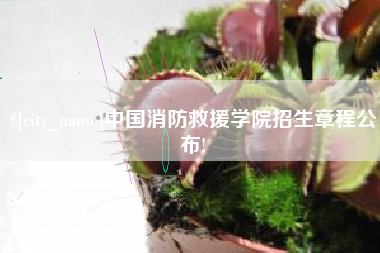 赤壁中国消防救援学院招生章程公布!