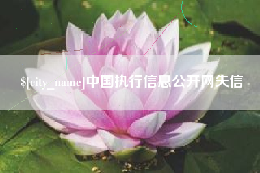 赤壁中国执行信息公开网失信