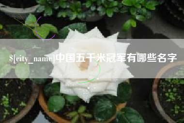 赤壁中国五千米冠军有哪些名字