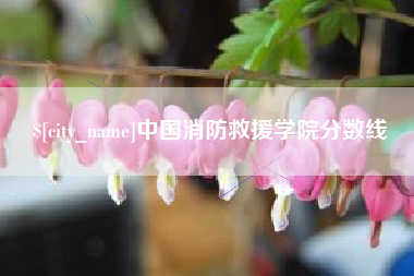 赤壁中国消防救援学院分数线