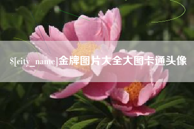 赤壁金牌图片大全大图卡通头像