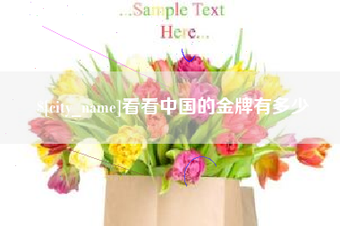 赤壁看看中国的金牌有多少
